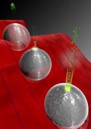 Mechanismus der Beschleunigung von Elektronen an Nanokugeln aus Glas. Das Laserfeld (rote Welle) führt zur Freisetzung von Elektronen (grüne Teilchen), die dann vom Laserfeld vom Nanoteilchen weg und anschließend wieder zurückbeschleunigt werden. Nach einem elastischen Stoß mit der Oberfläche der Nanokugel werden schließlich sehr hohe Energien für die freigesetzten Elektronen erreicht. Die Abbildung zeigt drei Momentaufnahmen der Beschleunigung (von links nach rechts): 1) die Elektronen werden zum Stillstand gebracht und kehren wieder zur Oberfläche zurück, 2) die Elektronen stoßen elastisch mit der Oberfläche zusammen und prallen ab und 3) die Elektronen werden sehr stark von der Nanokugel wegbeschleunigt.
Bild: Christian Hackenberger/LMU