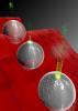 Mechanismus der Beschleunigung von Elektronen an Nanokugeln aus Glas. Das Laserfeld (rote Welle) führt zur Freisetzung von Elektronen (grüne Teilchen), die dann vom Laserfeld vom Nanoteilchen weg und anschließend wieder zurückbeschleunigt werden. Nach einem elastischen Stoß mit der Oberfläche der Nanokugel werden schließlich sehr hohe Energien für die freigesetzten Elektronen erreicht. Die Abbildung zeigt drei Momentaufnahmen der Beschleunigung (von links nach rechts): 1) die Elektronen werden zum Stillstand gebracht und kehren wieder zur Oberfläche zurück, 2) die Elektronen stoßen elastisch mit der Oberfläche zusammen und prallen ab und 3) die Elektronen werden sehr stark von der Nanokugel wegbeschleunigt.
Bild: Christian Hackenberger/LMU
